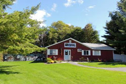 dog daycare in the berkshires