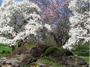 berkshire botanical garden