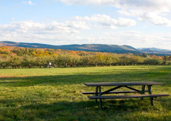 winery in the berkshires