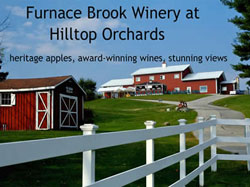 dog friendly winery in the berkshires