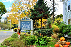 pet friendly inn in the berkshires