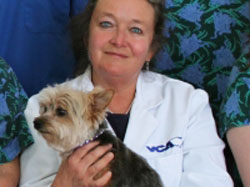 veterinarian in the berkshires in the Berkshires